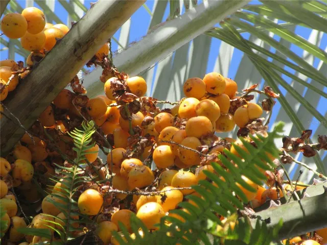 $164,000 | 1605 Southeast 160th Court, Ocklawaha, FL 32179