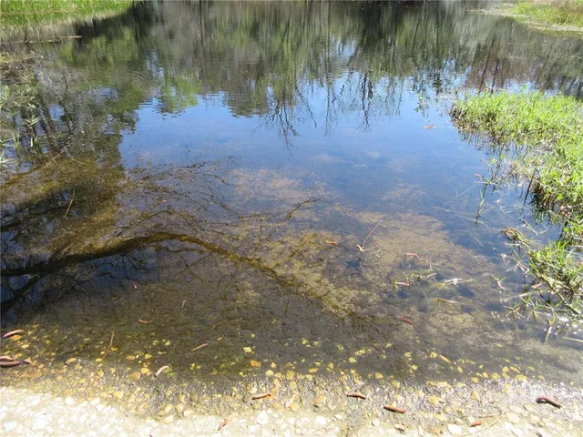 $164,000 | 1605 Southeast 160th Court, Ocklawaha, FL 32179