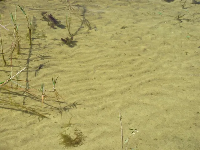 $164,000 | 1605 Southeast 160th Court, Ocklawaha, FL 32179