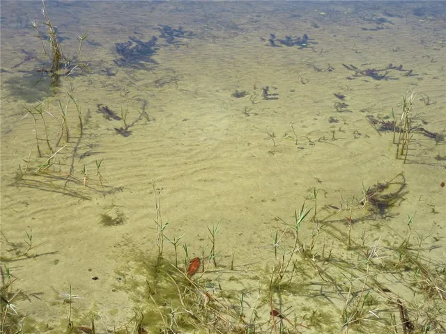 $164,000 | 1605 Southeast 160th Court, Ocklawaha, FL 32179