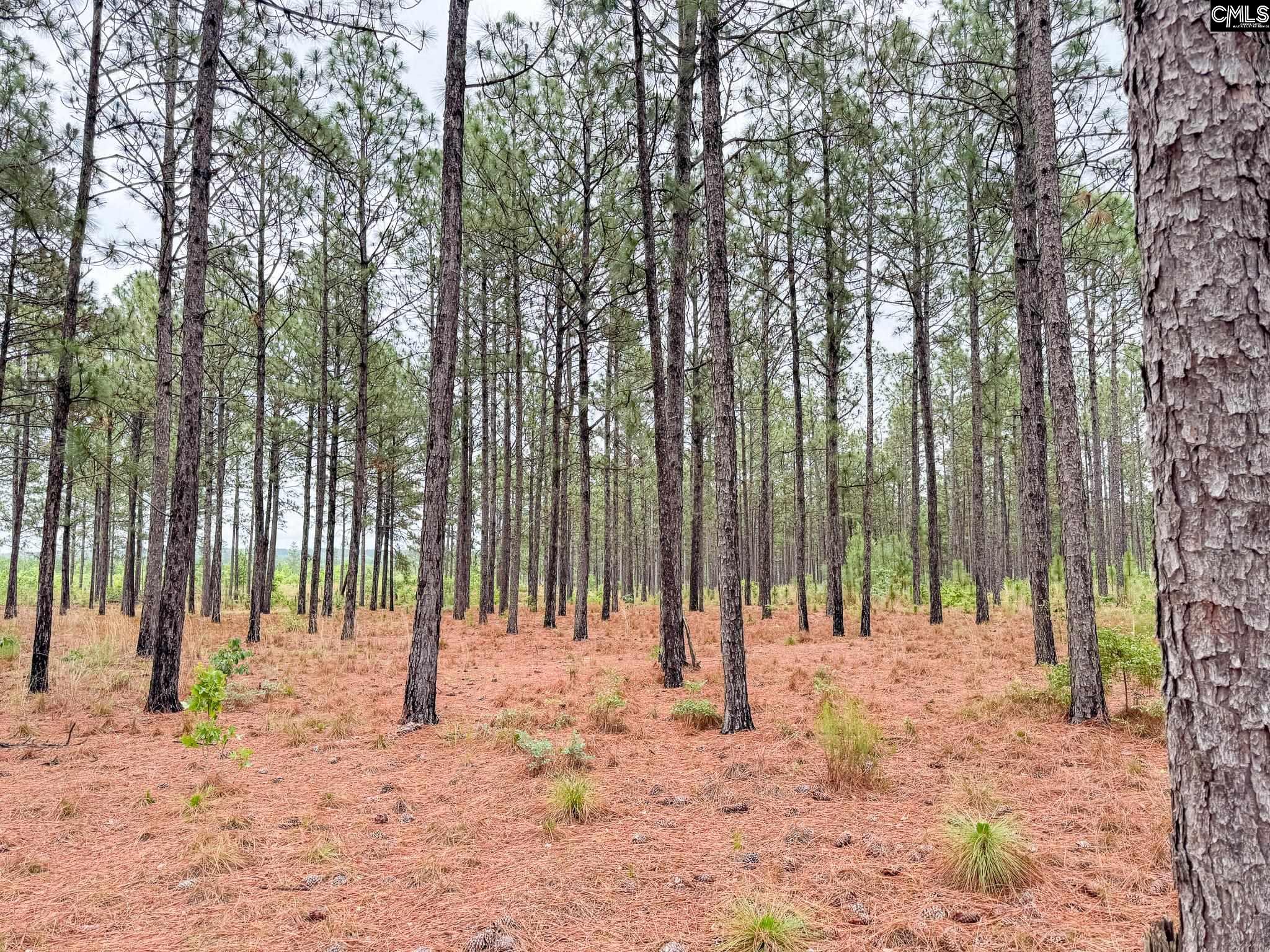 0 Neely Wingard Road, Unit LOT 6 Leesville, SC 29070 - Photo 4 of 8
