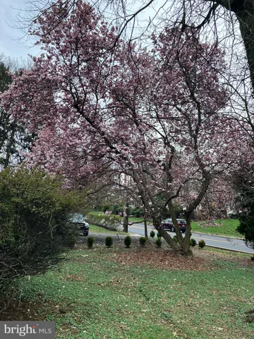 $515,000 | 409 North Pine Street, Langhorne, PA 19047