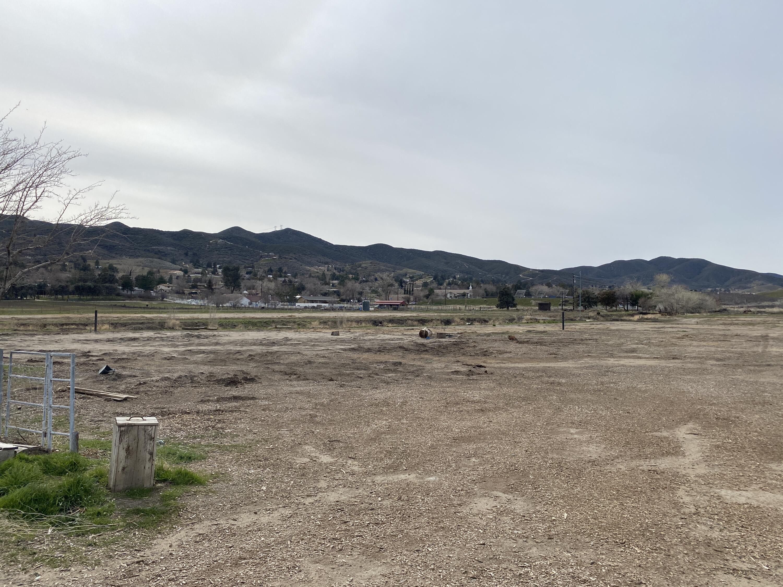 8662 Elizabeth Lake Road Leona Valley, CA 93551 - Photo 50 of 50 Open field 2