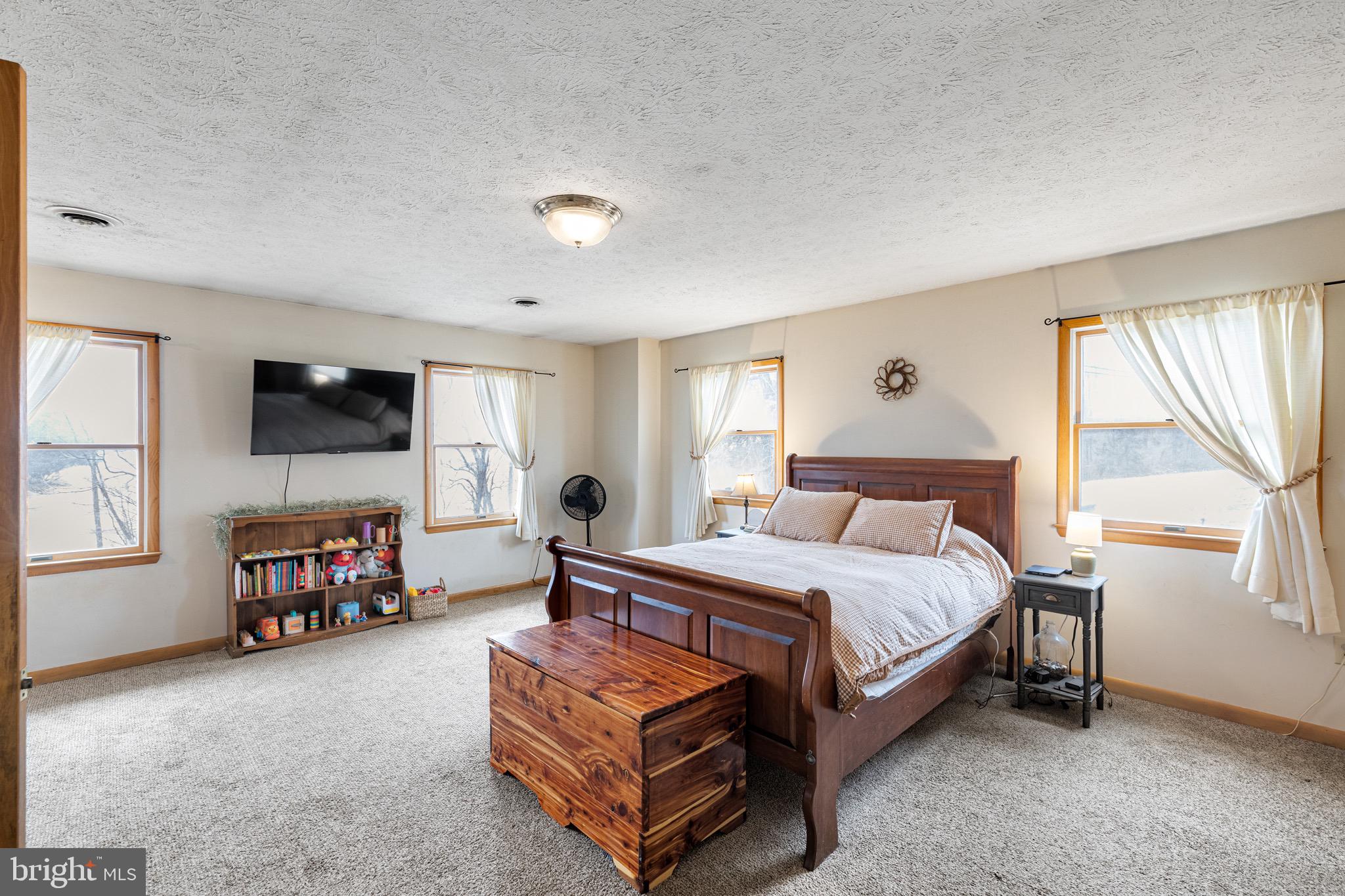 3360 Senedo Road Quicksburg, VA 22847 - Photo 13 of 58 a bedroom with a bed and a flat tv screen on the dresser