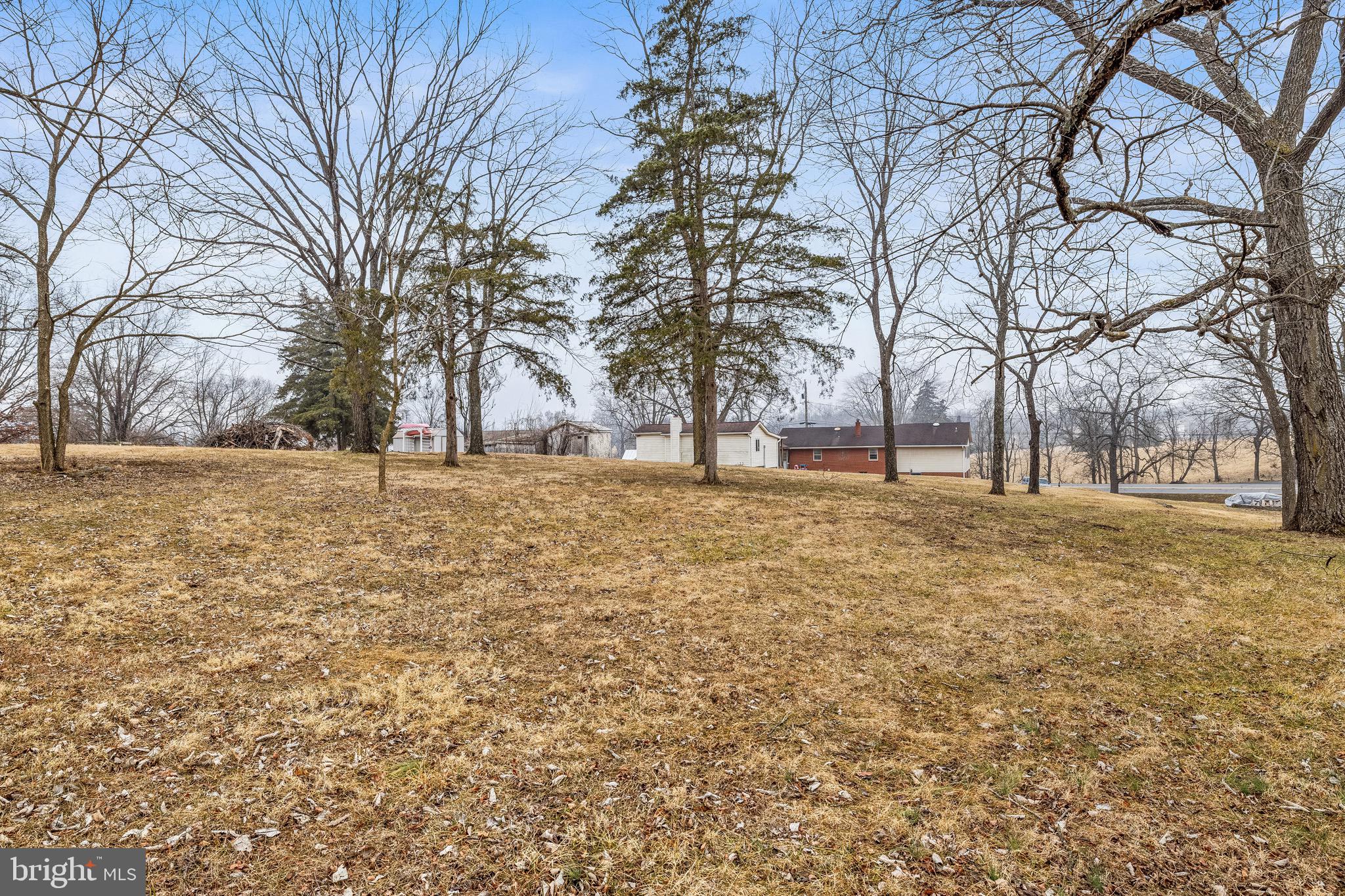 3360 Senedo Road Quicksburg, VA 22847 - Photo 51 of 58 a house view with outdoor space