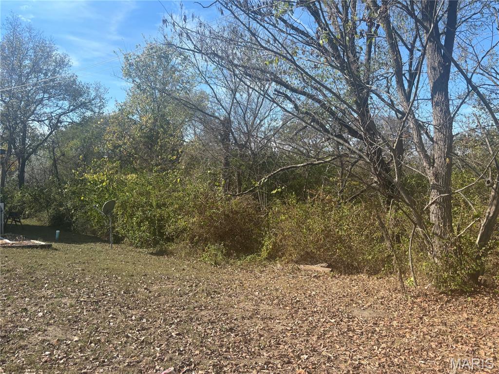 1921 West Springfield Road St. Clair, MO 63077 - Photo 11 of 37