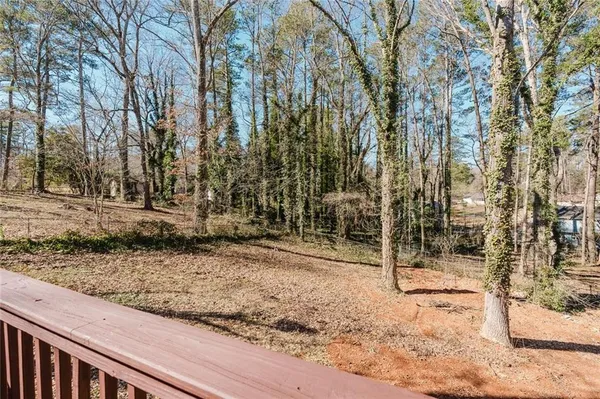 a view of a yard with large trees