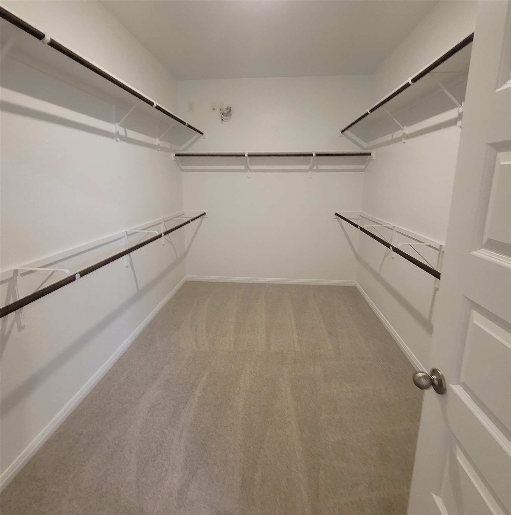 200 Callahan Loop Buda, TX 78610 - Photo 10 of 13 Spacious walk-in closet featuring light-toned carpeting and white walls