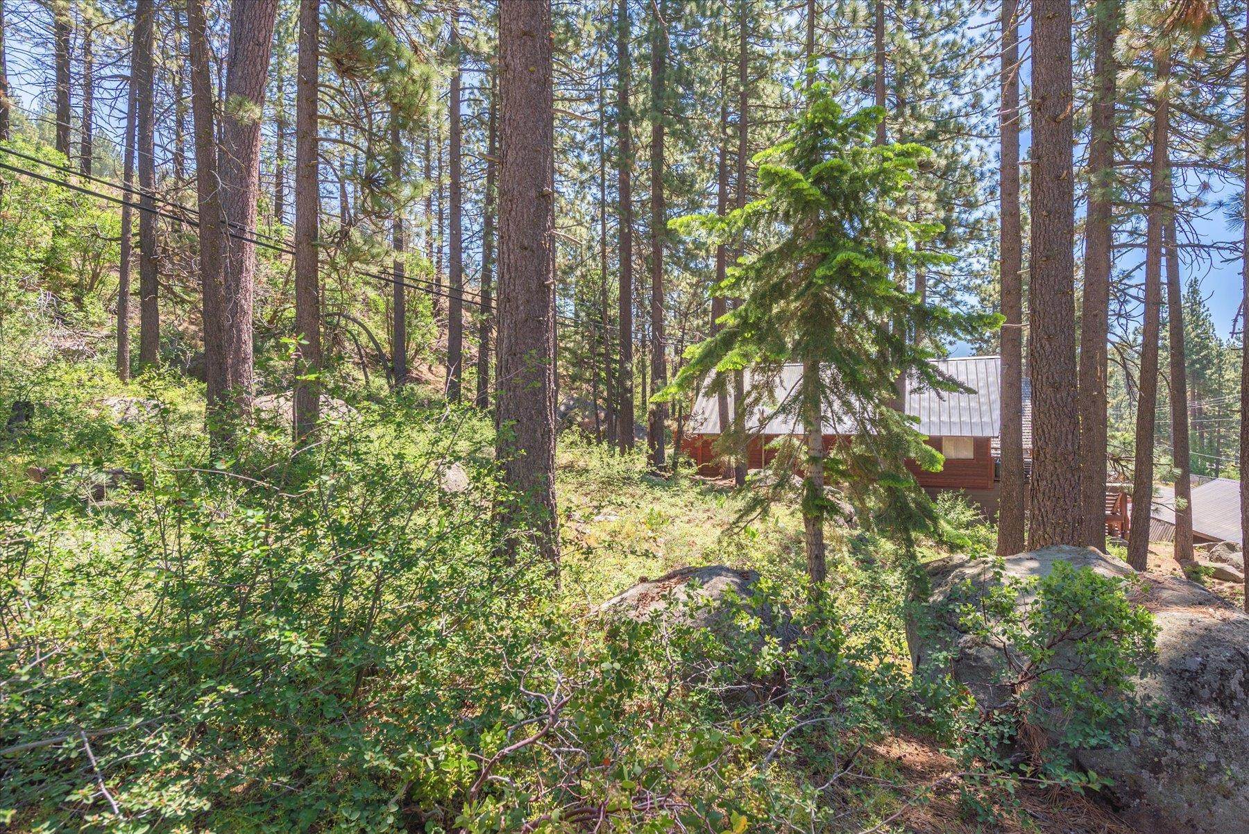 13020 Donner Pass Road Truckee, CA 96161 - Photo 14 of 18