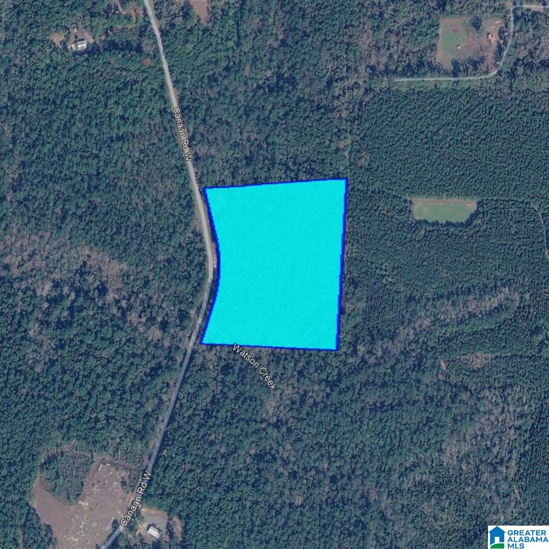 0 Canaan Road West Stockton, AL 36579 - Photo 10 of 15