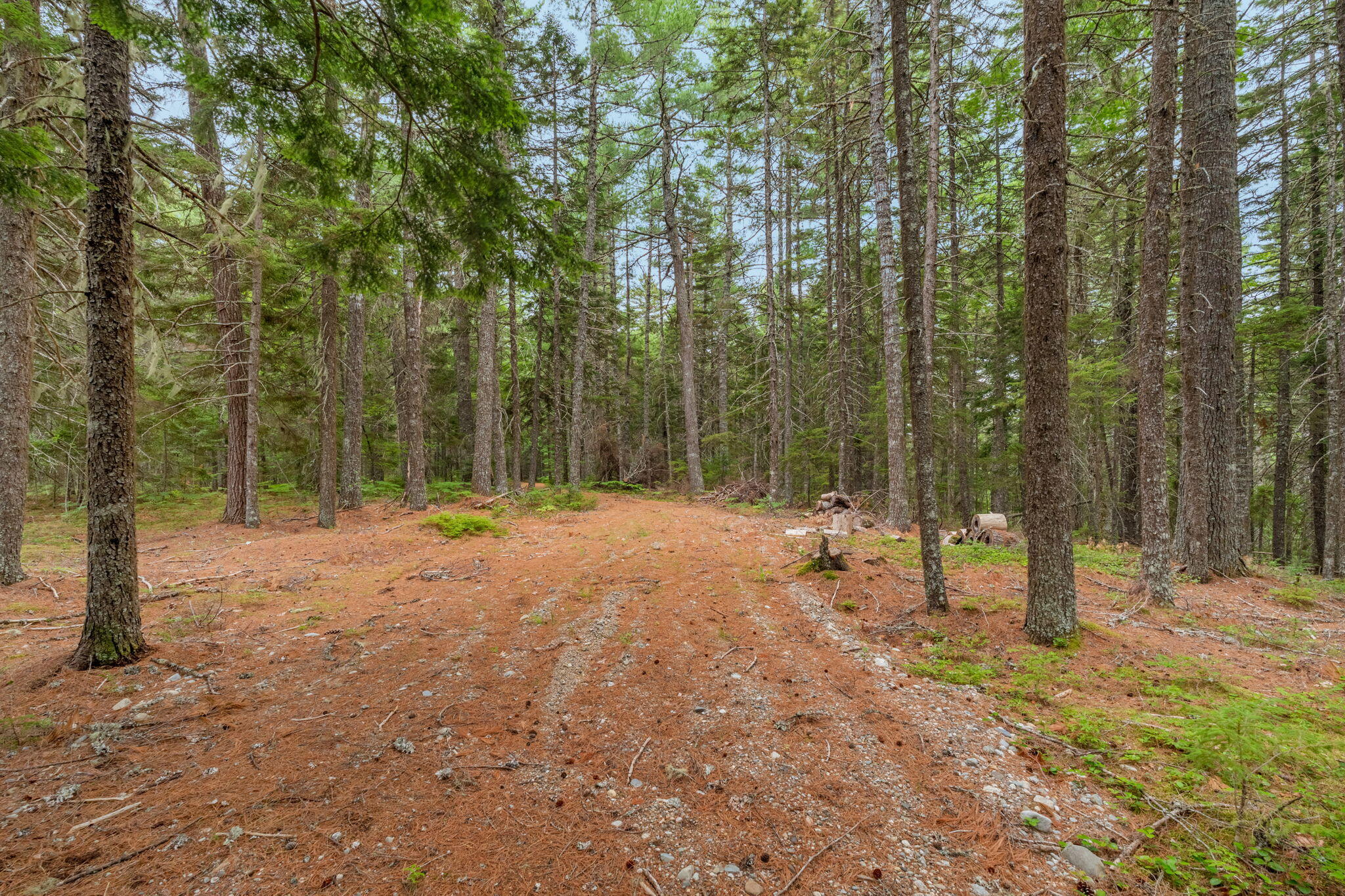 Lot 2 Upton Road Wesley, ME 04686 - Photo 22 of 44 17-web-or-mls-2nd-chain-lake-rd