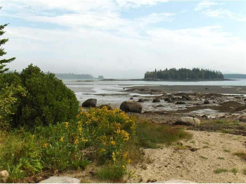 Lot 40 Back Bay Road Milbridge, ME 04658 - Photo 7 of 22 Waterfront/Dock/Pier.