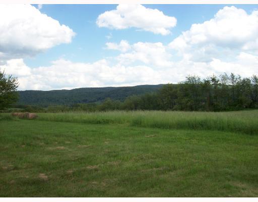 1080 Greenlick Road Mount Pleasant, PA 15666 - Photo 7 of 12 View. Panoramic mountain views