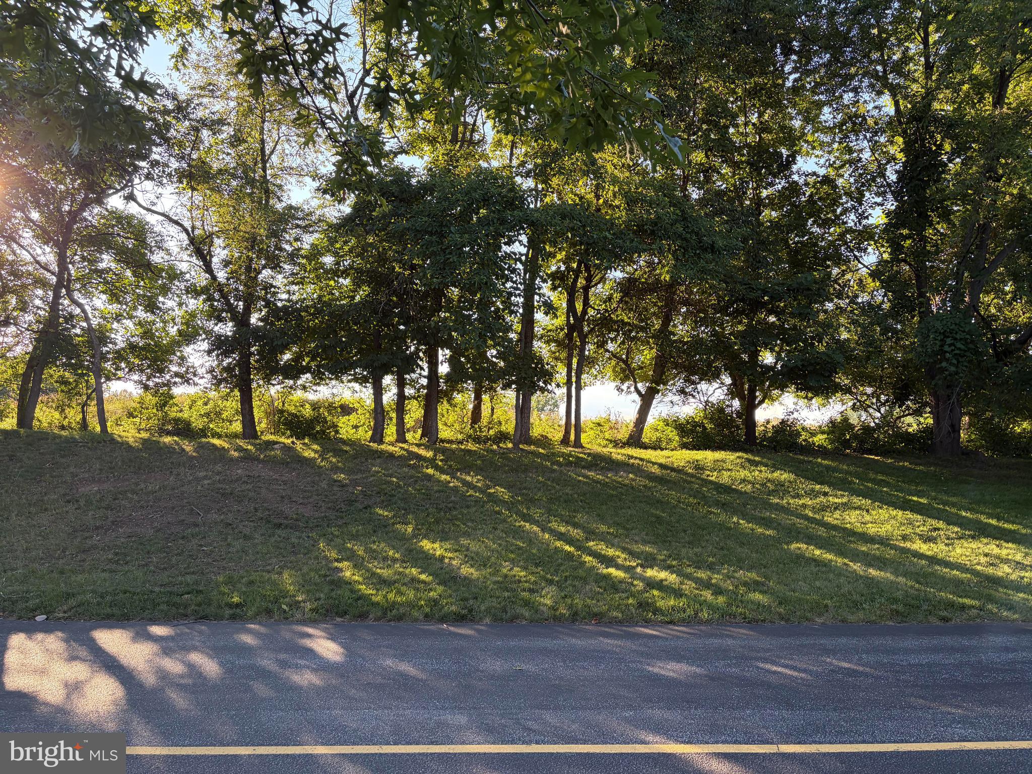 1601 Country Club Drive Springfield, PA 19064 - Photo 5 of 5 Golf course view across street