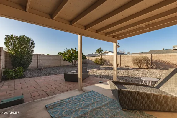 a view of a dry yard with a tree