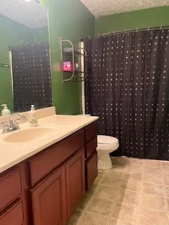 a bathroom with a sink a toilet and mirror