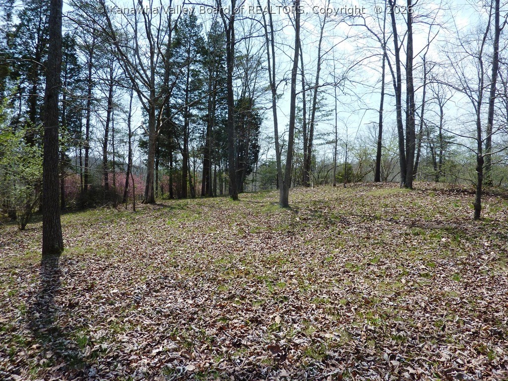 0 Randolph Drive Ripley, WV 25271 - Photo 10 of 11 Gallery Image 10