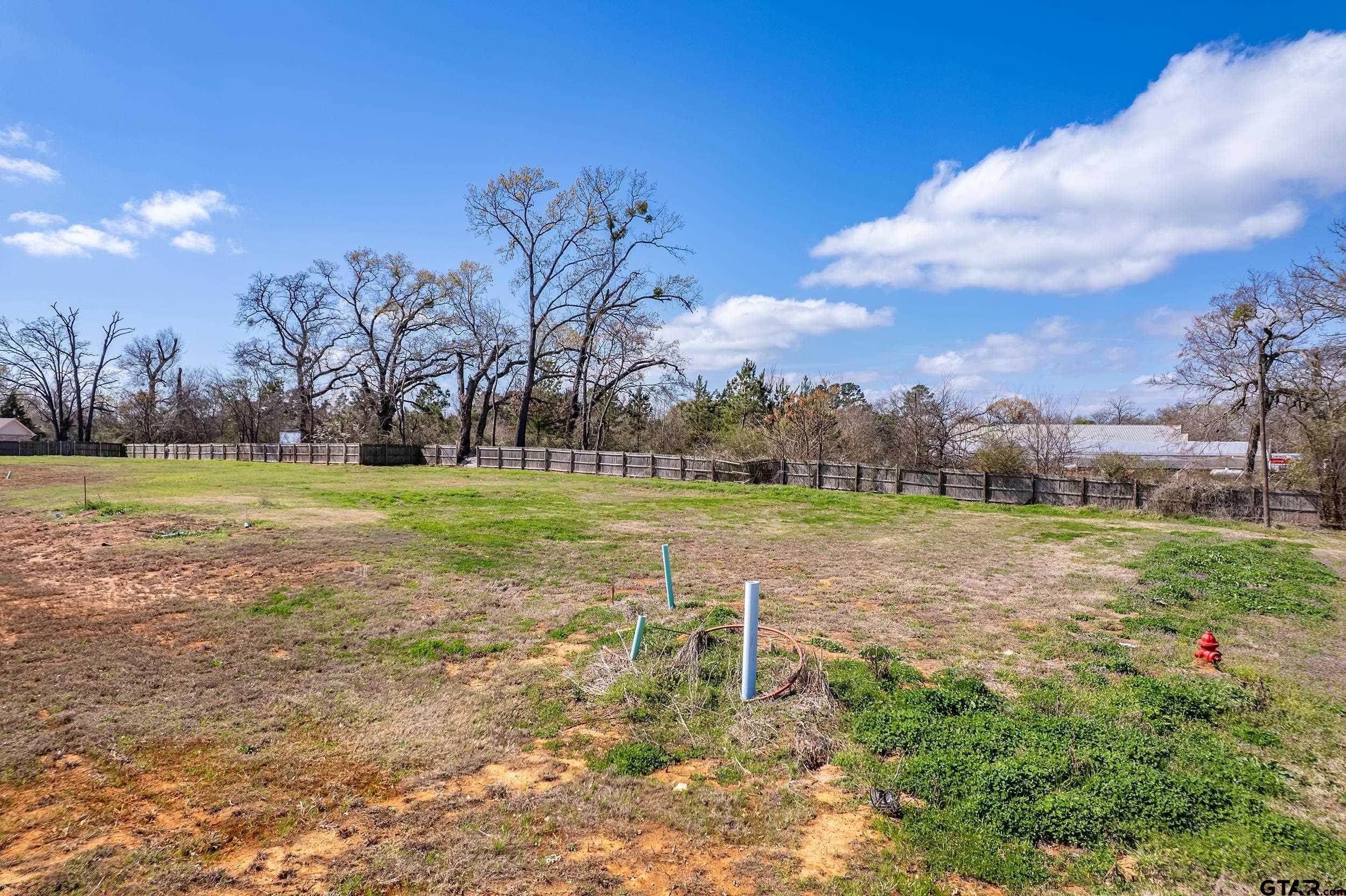 600 Hagan Road Whitehouse, TX 75791 - Photo 4 of 7