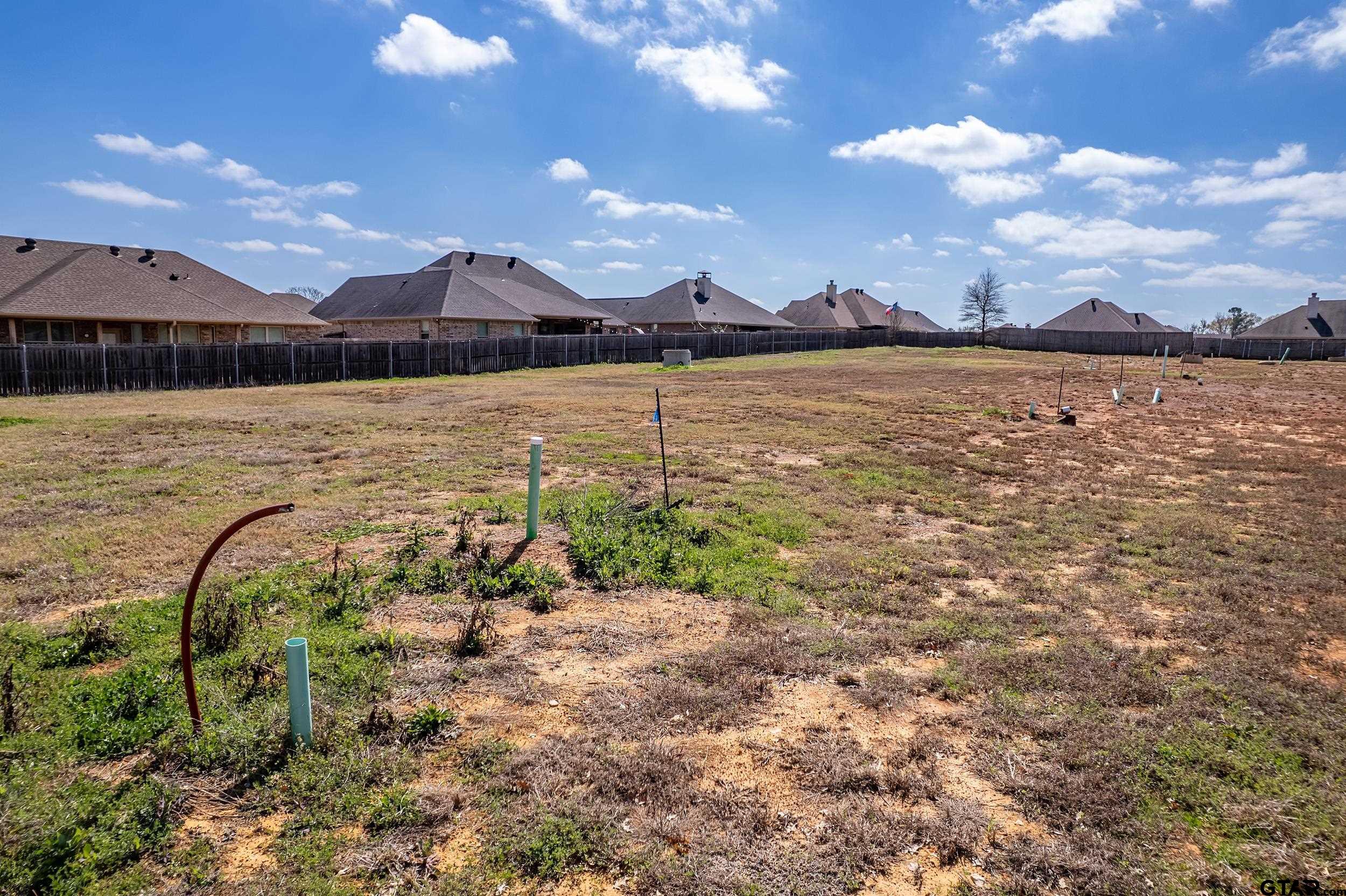 600 Hagan Road Whitehouse, TX 75791 - Photo 6 of 7