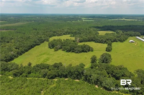 $360,000 | 0 Circle R Farm Drive, Florala, AL 36442