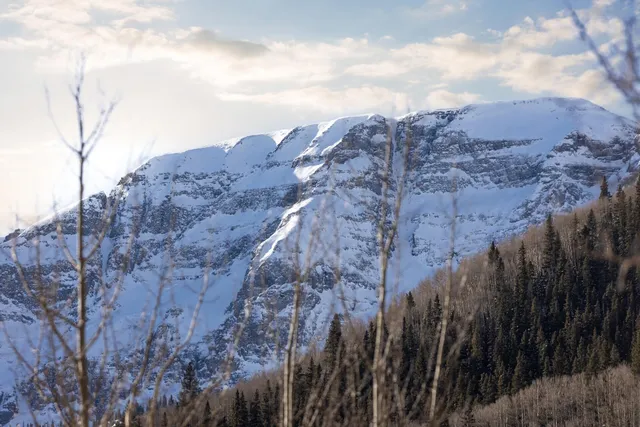 $1,795,000 | 34 Aurum Street, Ophir, CO 81426