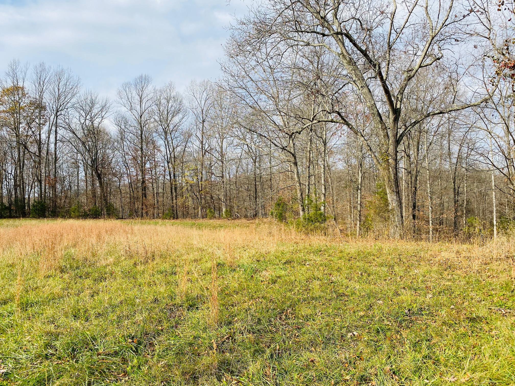 22 Stearns Holw Road Monticello, KY 42633 - Photo 23 of 25 IMG_4672