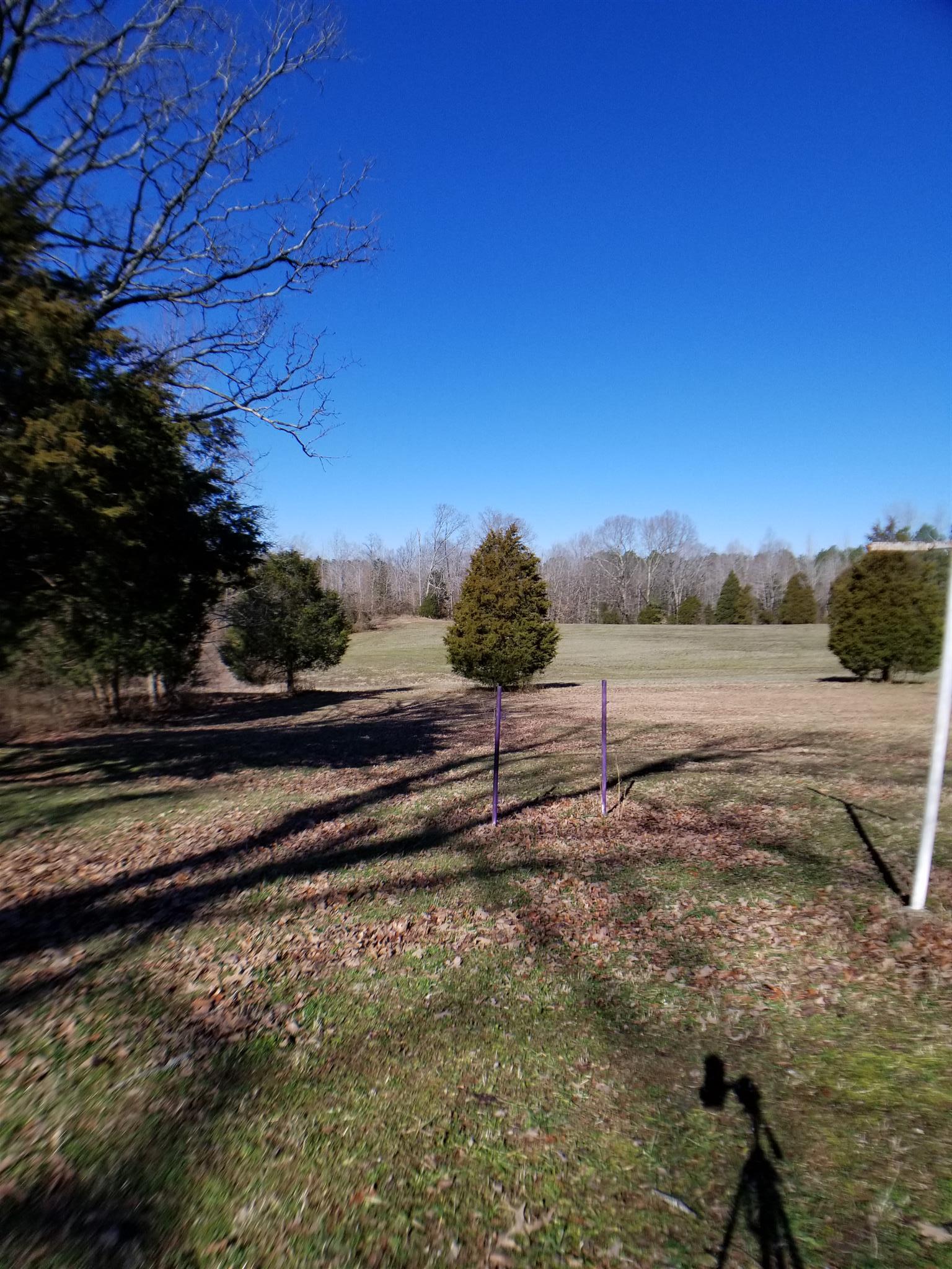 7535 Natchez Trace Road Camden, TN 38320 - Photo 8 of 22 Right Back Yard and Pasture