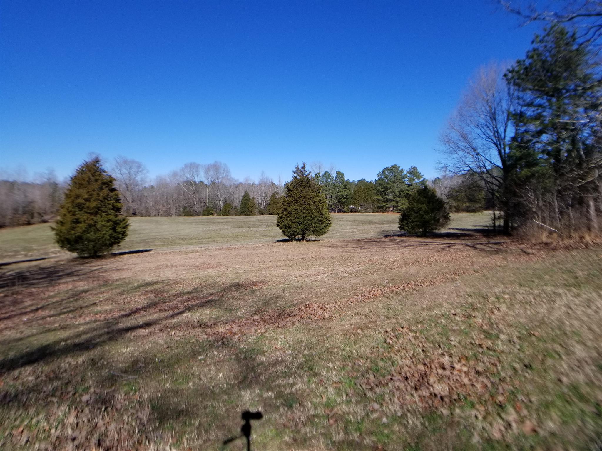 7535 Natchez Trace Road Camden, TN 38320 - Photo 9 of 22 Right Back Yard and Pasture