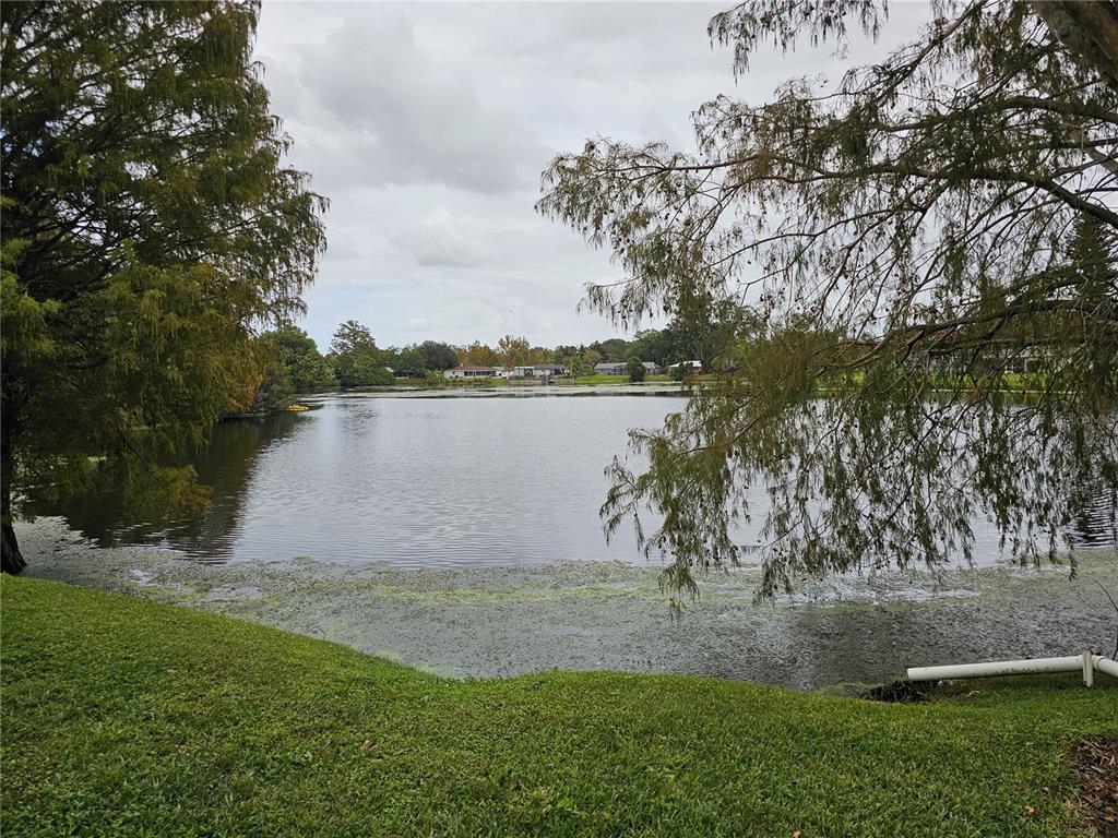 1935 South Conway Road, Unit 4 Orlando, FL 32812 - Photo 6 of 50 Gallery Image 6
