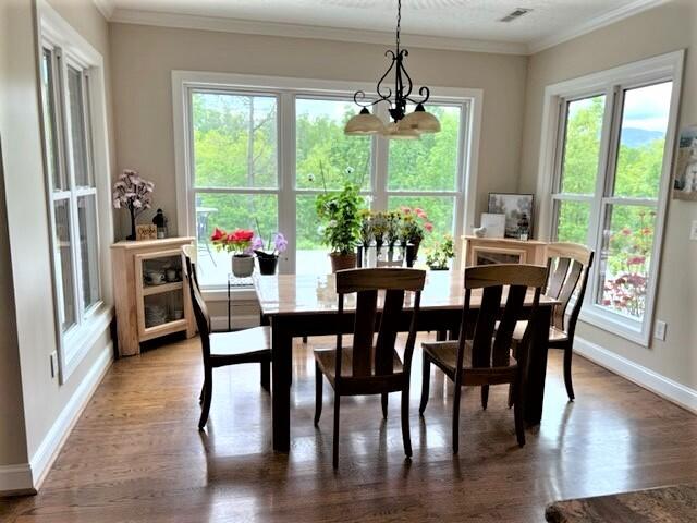 1202 Terrace Drive Salem, VA 24153 - Photo 22 of 44 a view of a dining room with furniture window and wooden floor