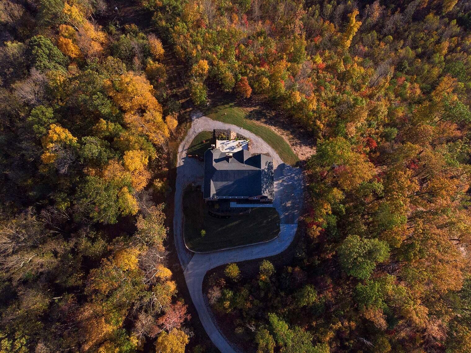1202 Terrace Drive Salem, VA 24153 - Photo 7 of 44 a view of a tree in a yard