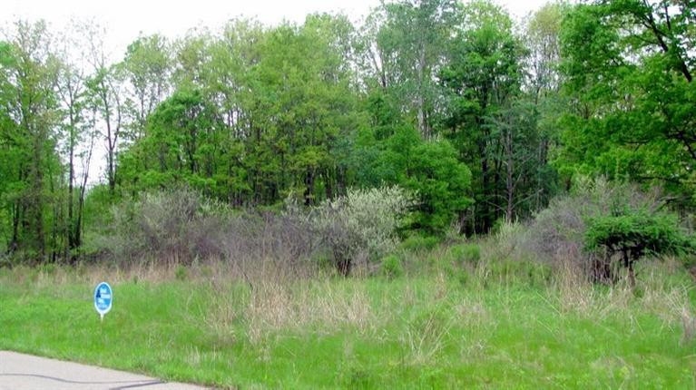 18274 Timber Lake Road Manchester, MI 48158 - Photo 1 of 7 Photo 1