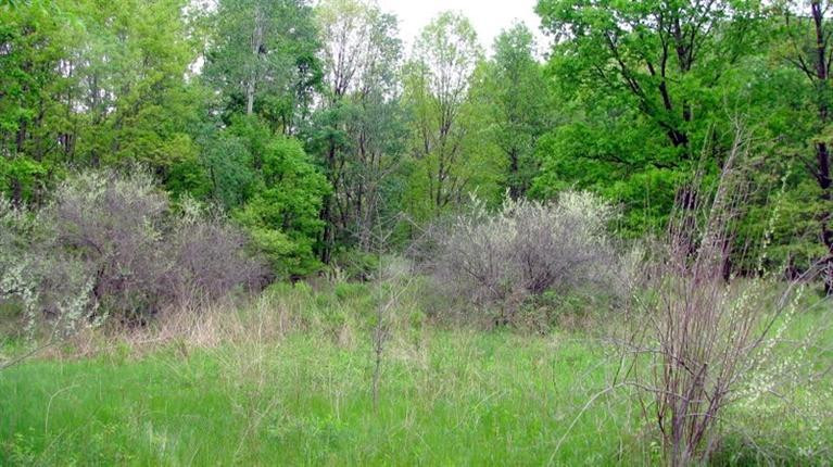 18274 Timber Lake Road Manchester, MI 48158 - Photo 2 of 7 Photo 2