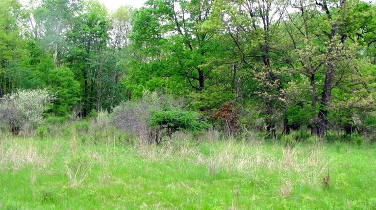 18274 Timber Lake Road Manchester, MI 48158 - Photo 3 of 7 Photo 3