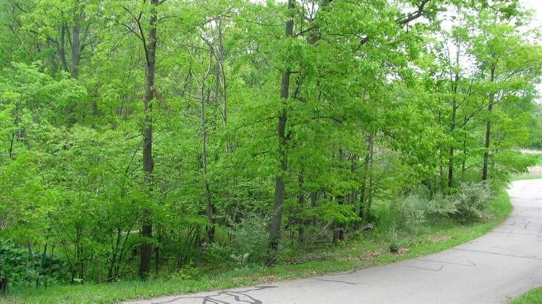 18274 Timber Lake Road Manchester, MI 48158 - Photo 4 of 7 Photo 4