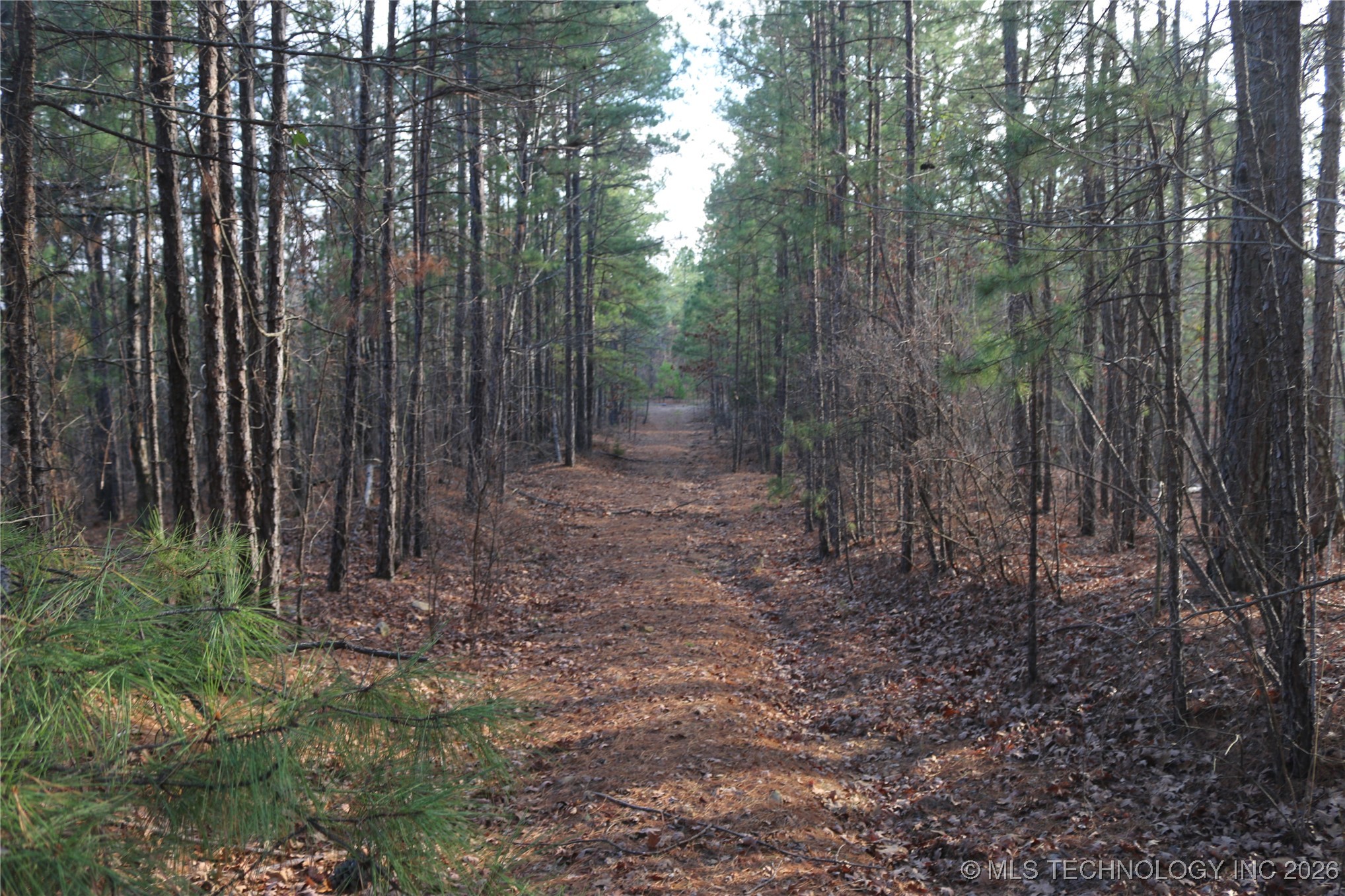 Marsh Loop Loop Smithville, OK 74957 - Photo 26 of 65 Gallery Image 26