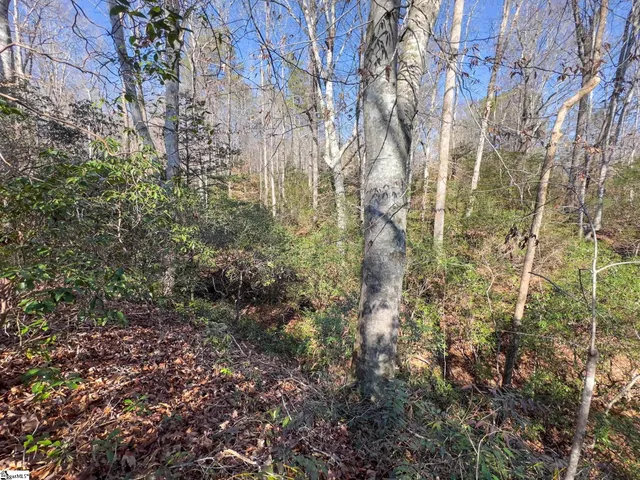 $35,000 | 912 Hidden Hollow Trail, Travelers Rest, SC 29690