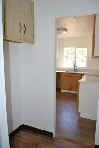 a view of a yard with trees