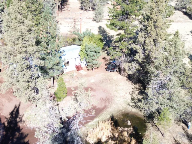 a view of a yard with plants and trees