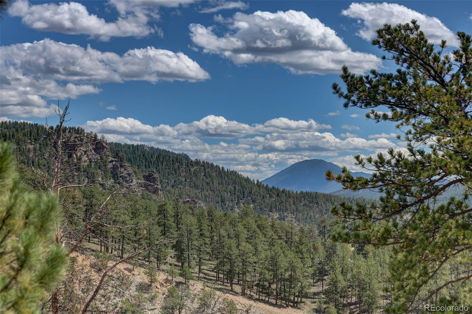 304 Virginia Road Bailey, CO 80421 - Photo 20 of 27 Gallery Image 20
