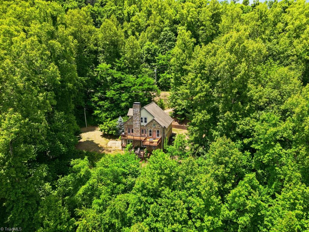 255 Treadway Ridge Road Moravian Falls, NC 28654 - Photo 3 of 50