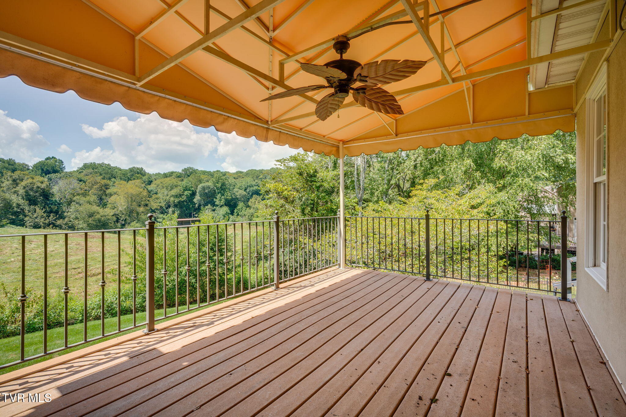 3 Straw Flower Place Johnson City, TN 37604 - Photo 69 of 78 069