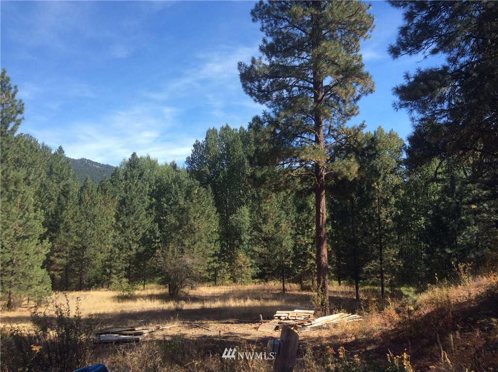 18201 State Rte 20 Winthrop, WA 98862 - Photo 22 of 25 Gallery Image 22