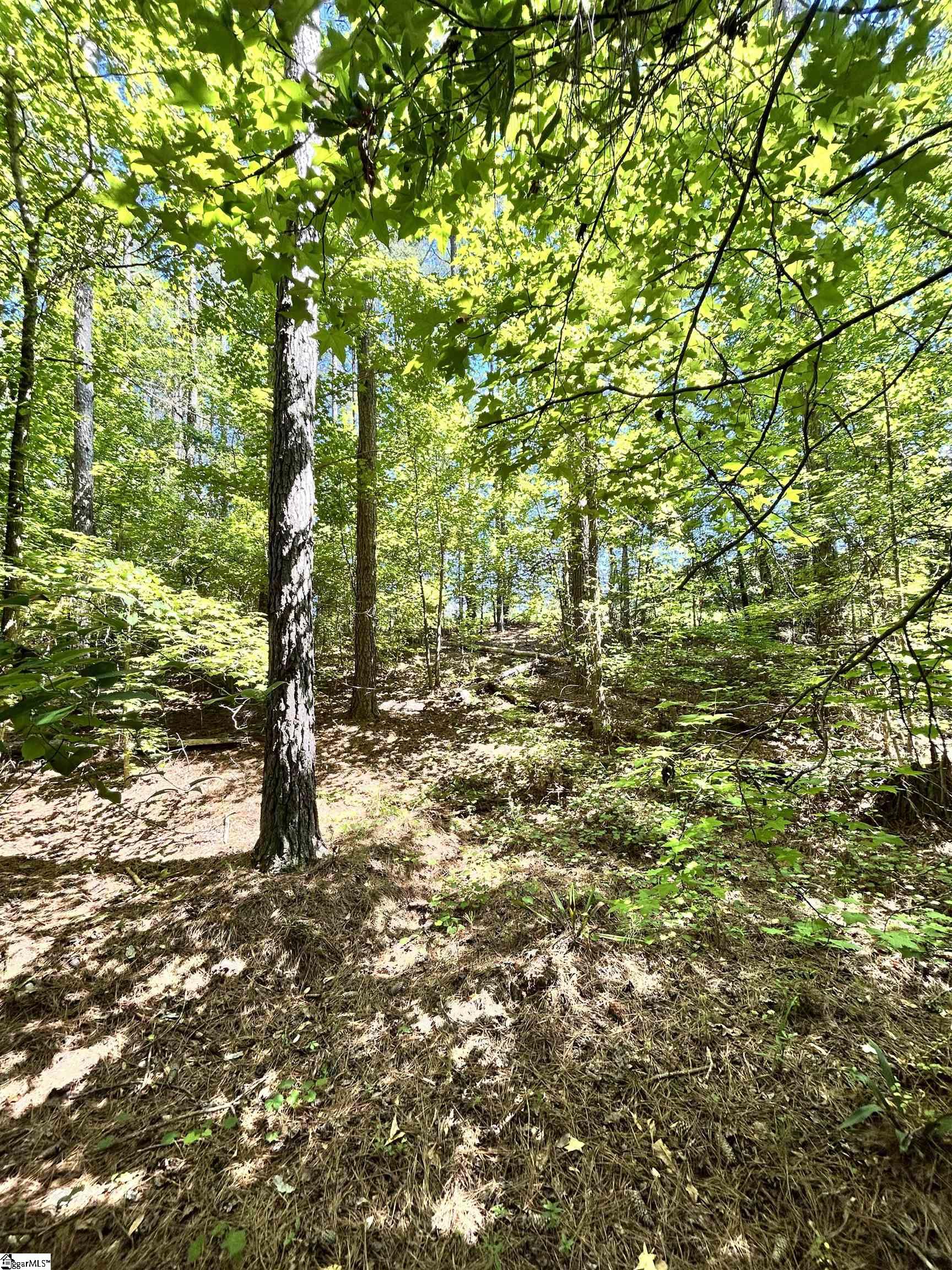 11 Sc - 413 Highway Anderson, SC 29621 - Photo 8 of 9