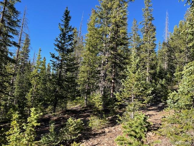 Lot 6525 Schlueter Road San Luis, CO 81152 - Photo 11 of 21