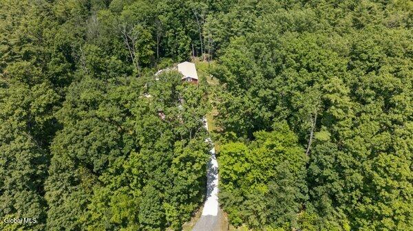 25 Hawthorne Hill Road Brainard, NY 12024 - Photo 5 of 62 Photo 2