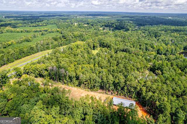 0 Braswell Lake Road Gray, GA 31032 - Photo 13 of 15 Gallery Image 13