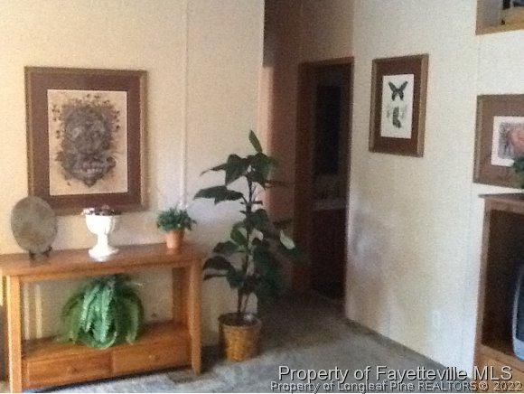 911 Smith Farm Road St. Pauls, NC 28384 - Photo 3 of 21 Gallery Image 3