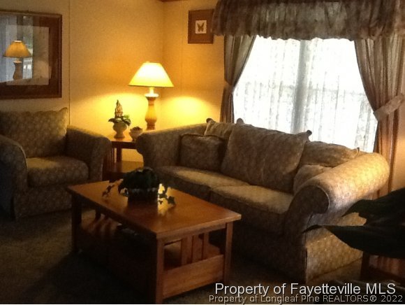 911 Smith Farm Road St. Pauls, NC 28384 - Photo 4 of 21 Gallery Image 4