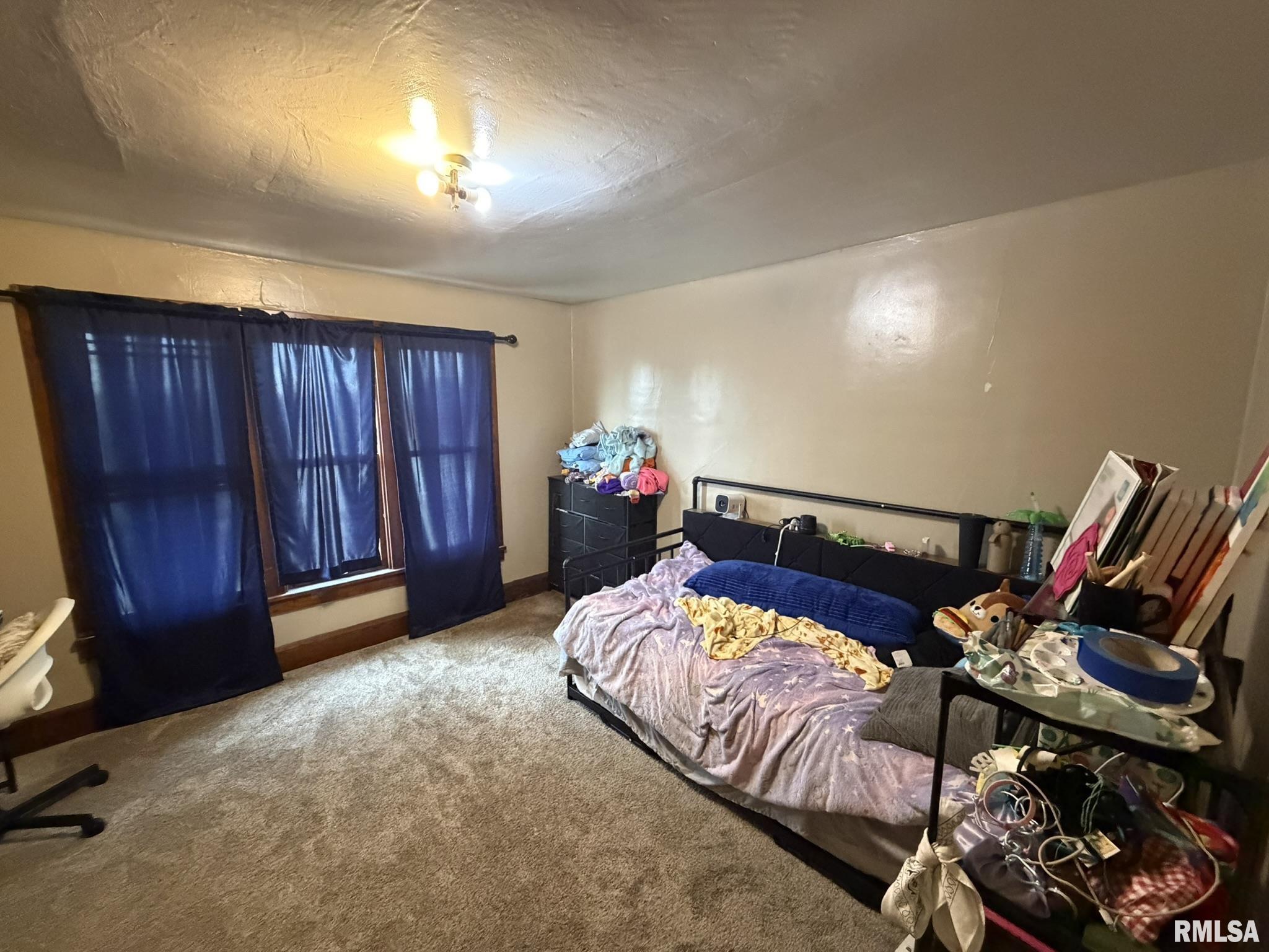 453 East Locust Street Canton, IL 61520 - Photo 8 of 8